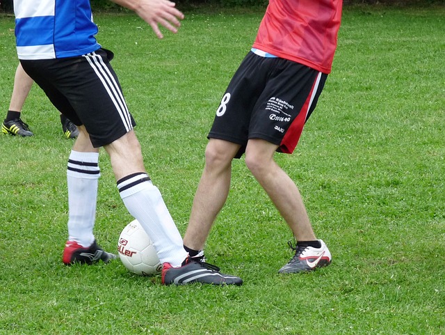 冰雪运动的 冰雪运动的