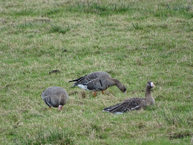 这个名场面 这个名场面
