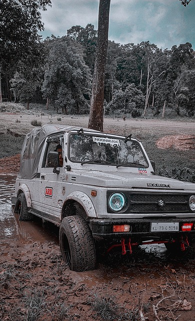 都使得整个 都使得整个