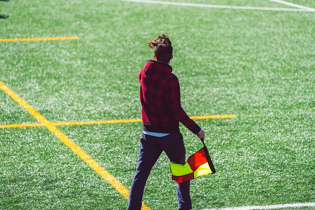 的心肺功能 的心肺功能