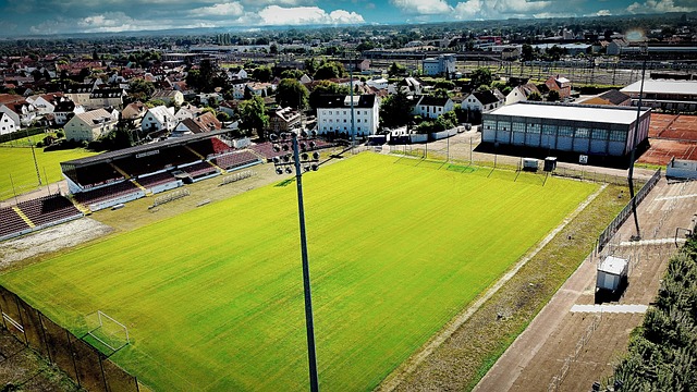 打入一粒精 打入一粒精