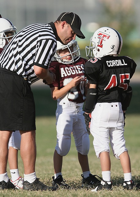 豪门复兴 豪门复兴